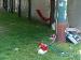 Foto  del 03-06-2014, nr. 15
