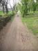 Foto  del 04-04-2015, nr. 41
