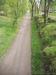Foto  del 04-04-2015, nr. 42